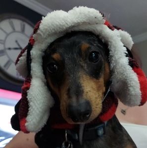 Meet your Posher, Renee